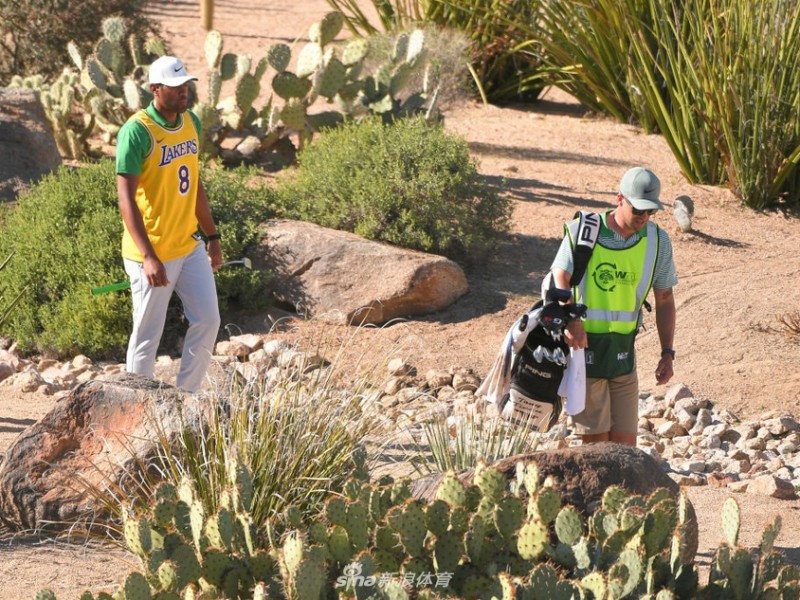 凤凰城公开赛第三轮：新星闪耀对决传奇，十六洞一杆进洞引爆全场