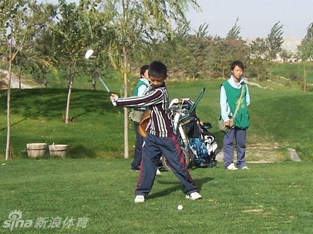 从青涩开球到荣耀加冕：一位高尔夫球手的成长轨迹