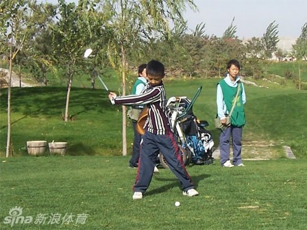 从青涩开球到荣耀加冕：一位高尔夫球手的成长轨迹