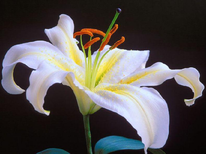 百合网相亲靠谱不？俺来给你唠唠里面的门道