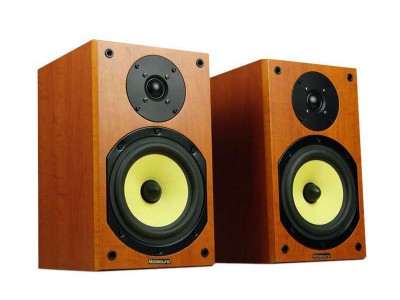 嚯！这国产小箱子真带劲？聊聊我那台让耳朵“开了光”的诺普声音响