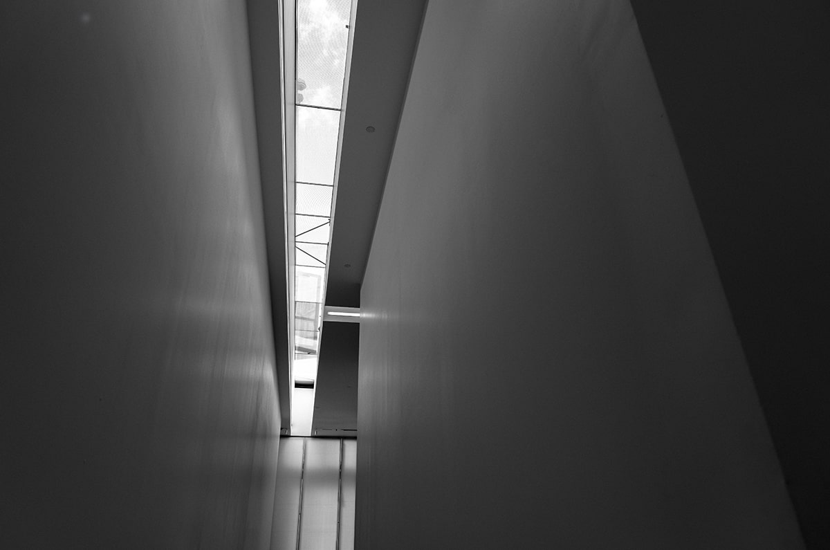 那个曾经火遍一时的‘功夫熊’，现在咋样啦？